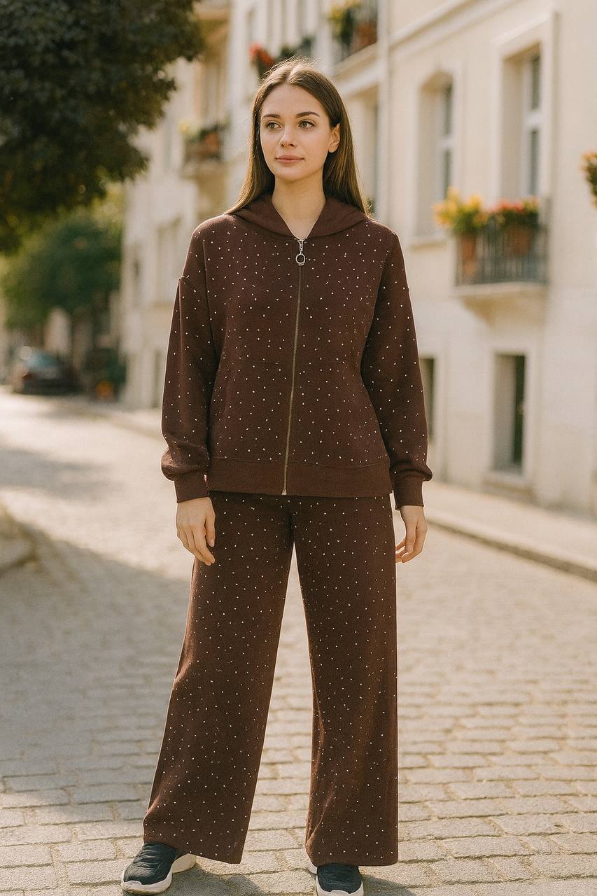 Işıltılı İnterlok Kumaş Fermuarlı Kapüşonlu Kadın Eşofman Takımı